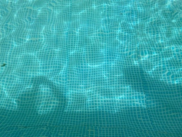 Algen im Pool was tun